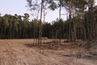 Homesite for sale in Livingston Parish, Louisiana