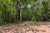Land for sale in Lee County, Alabama