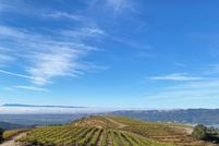 Land for sale in Sonoma County, California