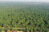 Undeveloped Land for sale in Beauregard Parish, Louisiana