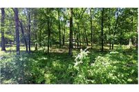 Land for sale in Pulaski County, Arkansas