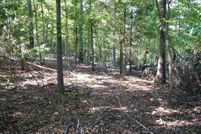 Land for sale in Marion County, Arkansas