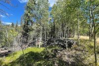 Undeveloped Land for sale in Park County, Colorado