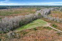 Land for sale in Jeff Davis County, Georgia