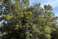 Land for sale in Santa Rosa County, Florida