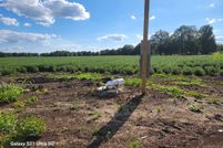 Land for sale in Desha County, Arkansas