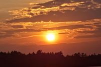 Timberland Property for sale in Washington County, Maine