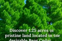 Homesite for sale in McCurtain County, Oklahoma