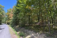 Timberland Property for sale in Chemung County, New York