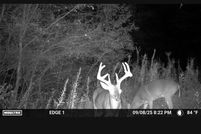 Land for sale in Blount County, Alabama