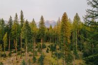 Land for sale in Missoula County, Montana