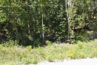 Homesite for sale in Levy County, Florida