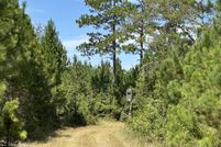 Land for sale in Williamsburg County, South Carolina