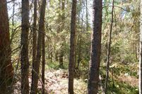 Land for sale in Crawford County, Michigan