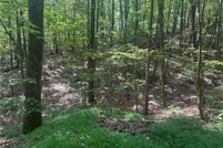 Land for sale in Pickens County, Georgia