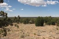 Land for sale in Navajo County, Arizona