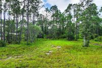 Undeveloped Land for sale in Gulf County, Florida