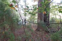 Land for sale in Isle of Wight County, Virginia