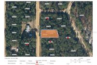 Undeveloped Land for sale in Putnam County, Florida