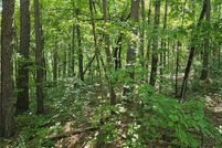 Land for sale in Pickens County, Georgia