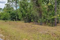 Land for sale in Marion County, Florida