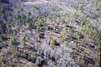 Land for sale in Sabine Parish, Louisiana