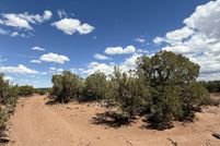 Land for sale in Navajo County, Arizona