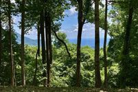 Undeveloped Land for sale in Greenville County, South Carolina