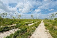 Land for sale in Hendry County, Florida