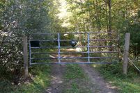 Land for sale in Alpena County, Michigan