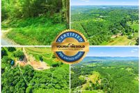 Undeveloped Land for sale in Campbell County, Tennessee