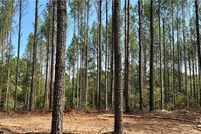 Land for sale in Madison County, Georgia