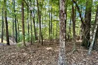 Undeveloped Land for sale in Gilmer County, Georgia