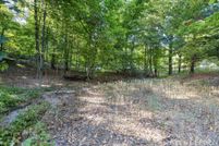 Undeveloped Land for sale in Allegan County, Michigan