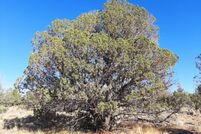 Recreational Property for sale in Crook County, Oregon