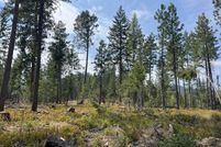 Undeveloped Land for sale in Grant County, Oregon