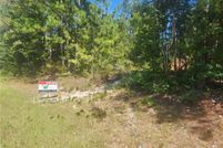 Land for sale in Macon County, Alabama