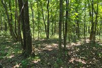 Land for sale in Maries County, Missouri