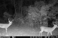 Farm and Ranch for sale in Smith County, Texas