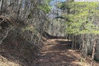 Undeveloped Land for sale in Ashe County, North Carolina