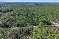 Undeveloped Land for sale in Marion County, Florida