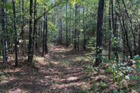 Land for sale in Tippah County, Mississippi