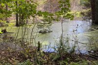 Land for sale in Luce County, Michigan