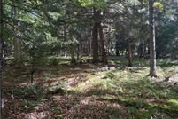 Undeveloped Land for sale in Herkimer County, New York