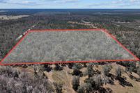 Land for sale in Dixie County, Florida