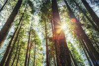 Farm and Ranch for sale in Powhatan County, Virginia