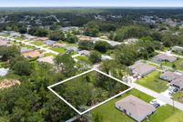 Undeveloped Land for sale in Flagler County, Florida