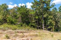 Land for sale in Wood County, Texas
