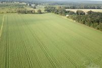 Undeveloped Land for sale in Santa Rosa County, Florida