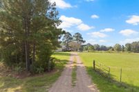 Land for sale in Morris County, Texas
